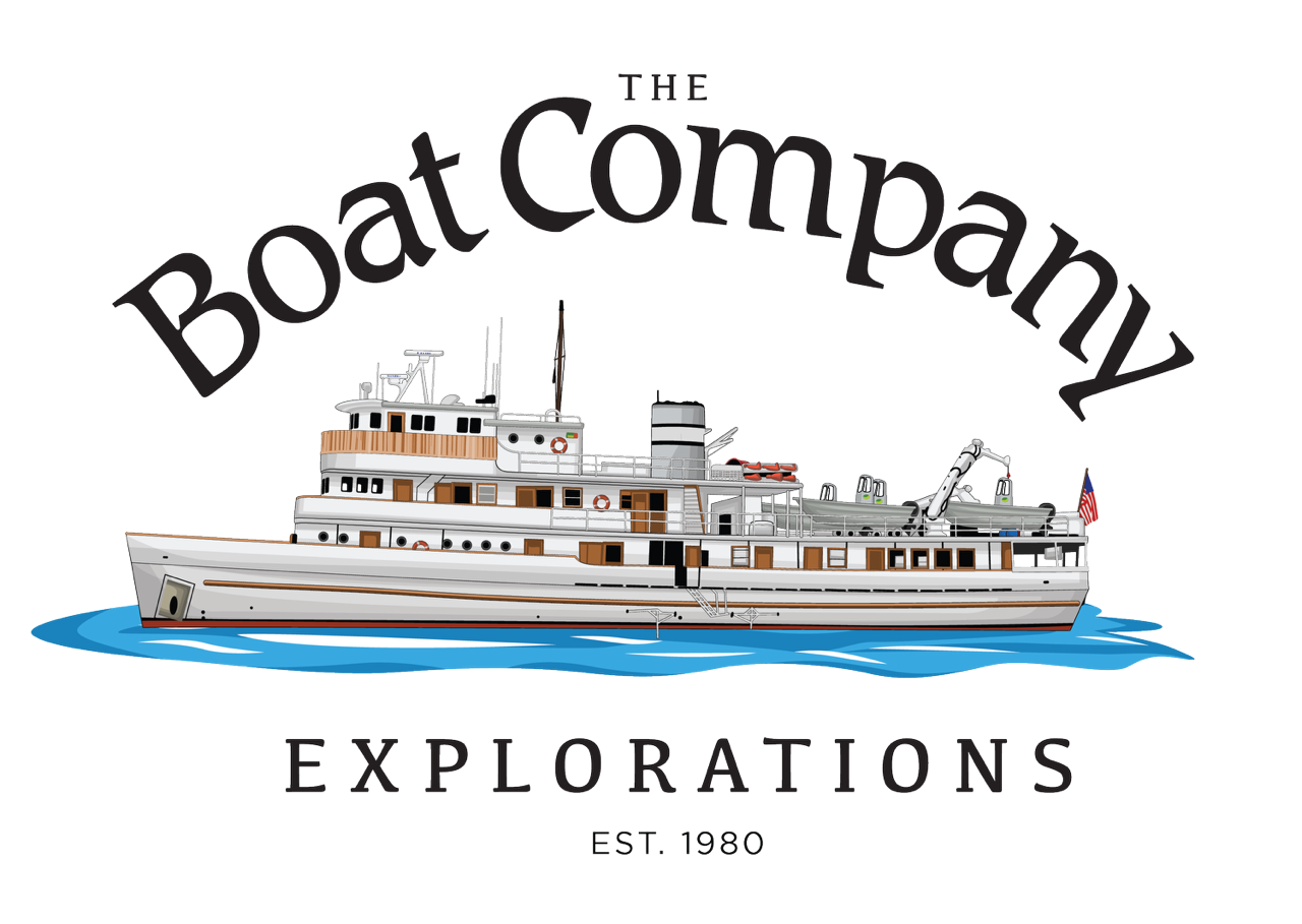 The Boat Company Logo